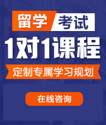 汇聚亚洲大吊操逼留学考试一对一精品课